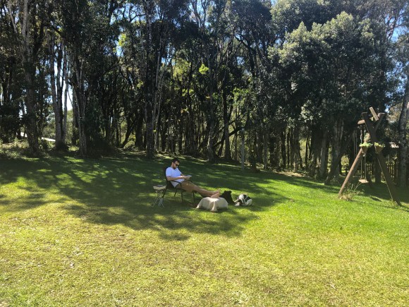 Eu, sentado em um sítio, escrevendo no meu Bullet Journal, rodeado de cachorros